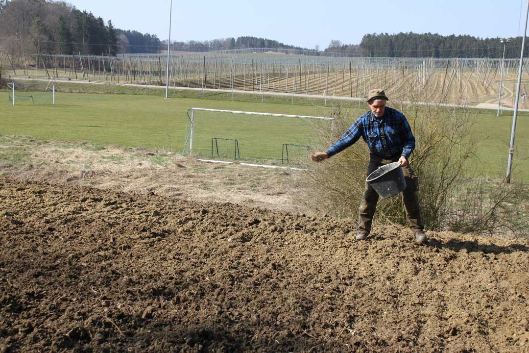 Landwirt Hubert Ecker beim Aussähen des Samenmaterials, sogenannte Naturgemische aus einer wertvollen nahegelegenen Wiese (Foto: Michaela Powolny)