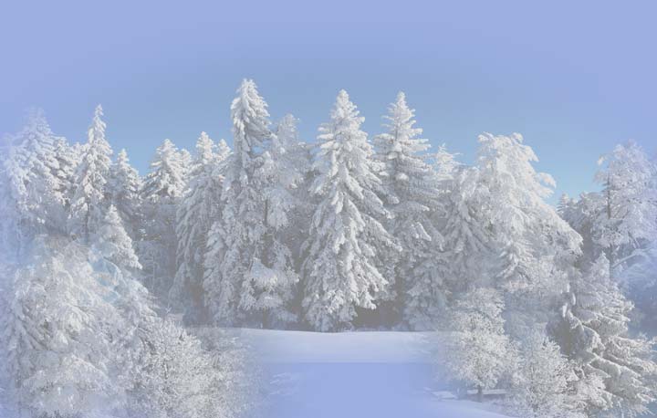 Winterlandschaft (Foto: FD Wickl)