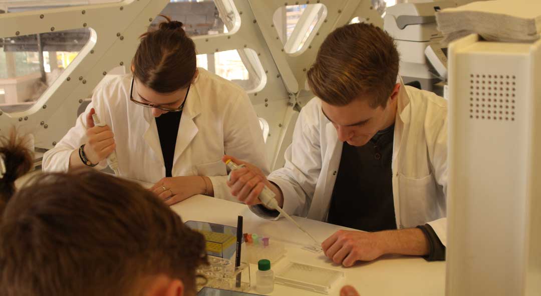 Die Schülerinnen und Schüler der 13. Klasse bei der Durchführung des ELISA-Antikörper-Tests im Besucherlabor des Deutschen Museums (Foto: Christine Linhard)