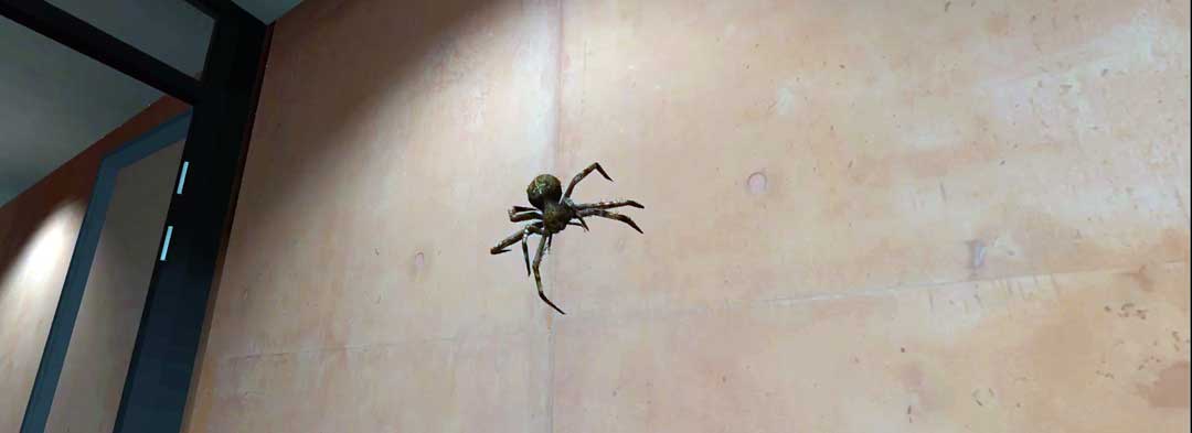 Screenshot einer Spinne in der virtuellen Realtät. (Foto: © VT+ GmbH)