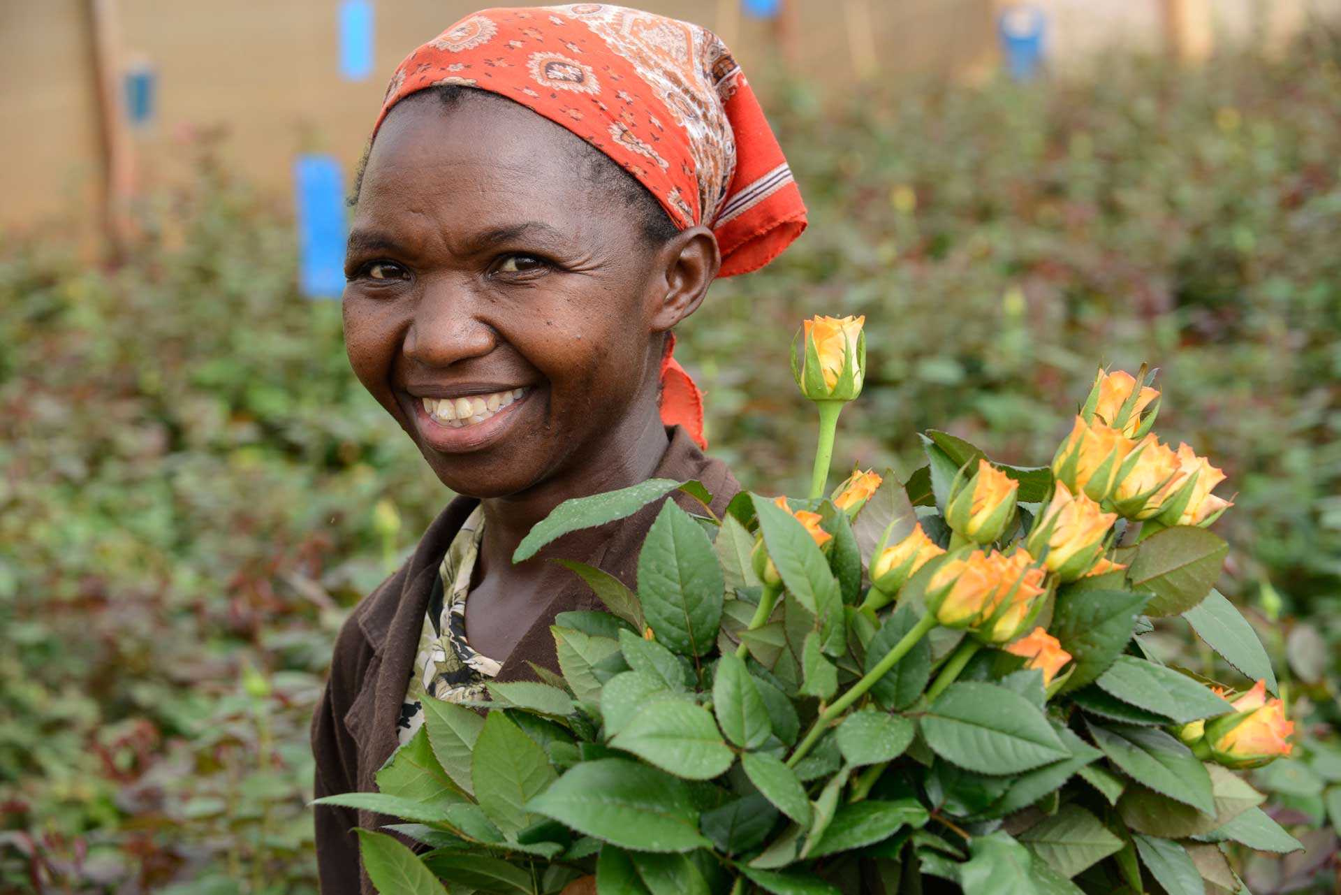 Lucy Waithira Ngunga von der Blumenfarm Simbi Roses, Kenia (Copyright: TransFair e.V., Foto: Joerg Boethling)
