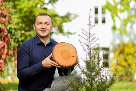 Die Libanonzeder gilt als Alternativbaumart für den Anbau im Klimawandel. Dr. Muhidin Šeho vom Bayerischen Amt für Waldgenetik, Koordinator im Forschungsprojekt „CorCed“, mit einer Baumscheibe der Libanonzeder. (Foto: Tobias Hase, StMELF)