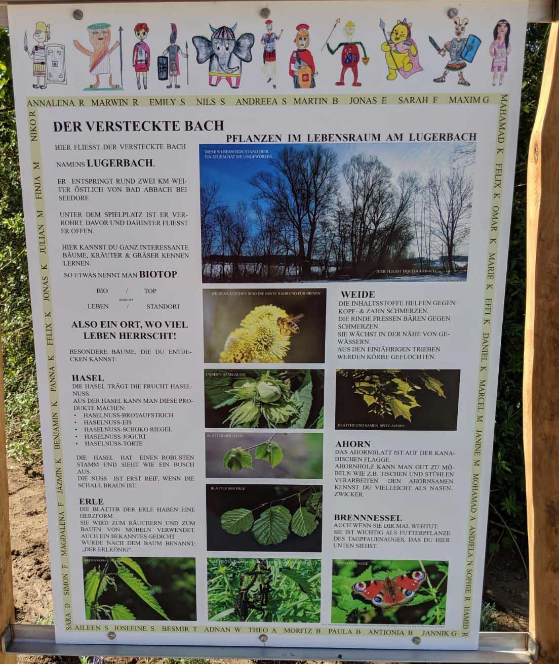 Informationstafel zum Lugerbach und dem Biotop (Foto: Norbert Grüner)