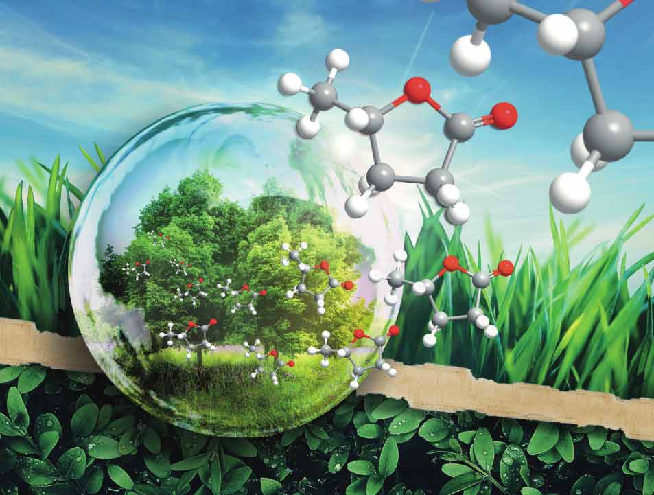  Chemiker der Universität Regensburg haben das vielversprechende, „grüne“ Lösungsmittel „γ-Valerolacton“ (GVL) genauer untersucht. (Foto/Grafik: © Florian Kerkel, Prof. Dr. Werner Kunz)