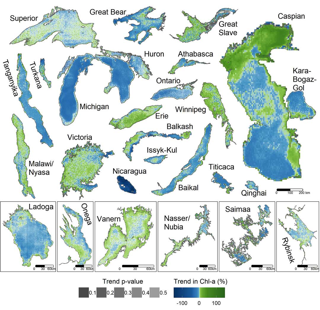 Die Kartierung von Chlorophyll-a an der Seeoberfläche zeigt die unterschiedlichen Reaktionen der Seen auf den globalen Wandel (1997-2020). (Foto/Grafik: Benjamin Kraemer)