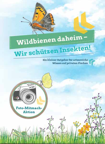 Flyer Wildbienen daheim (Grafik: Landratsamt Kelheim)